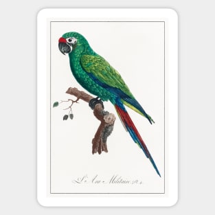 Military Macaw (1801—1805) Sticker